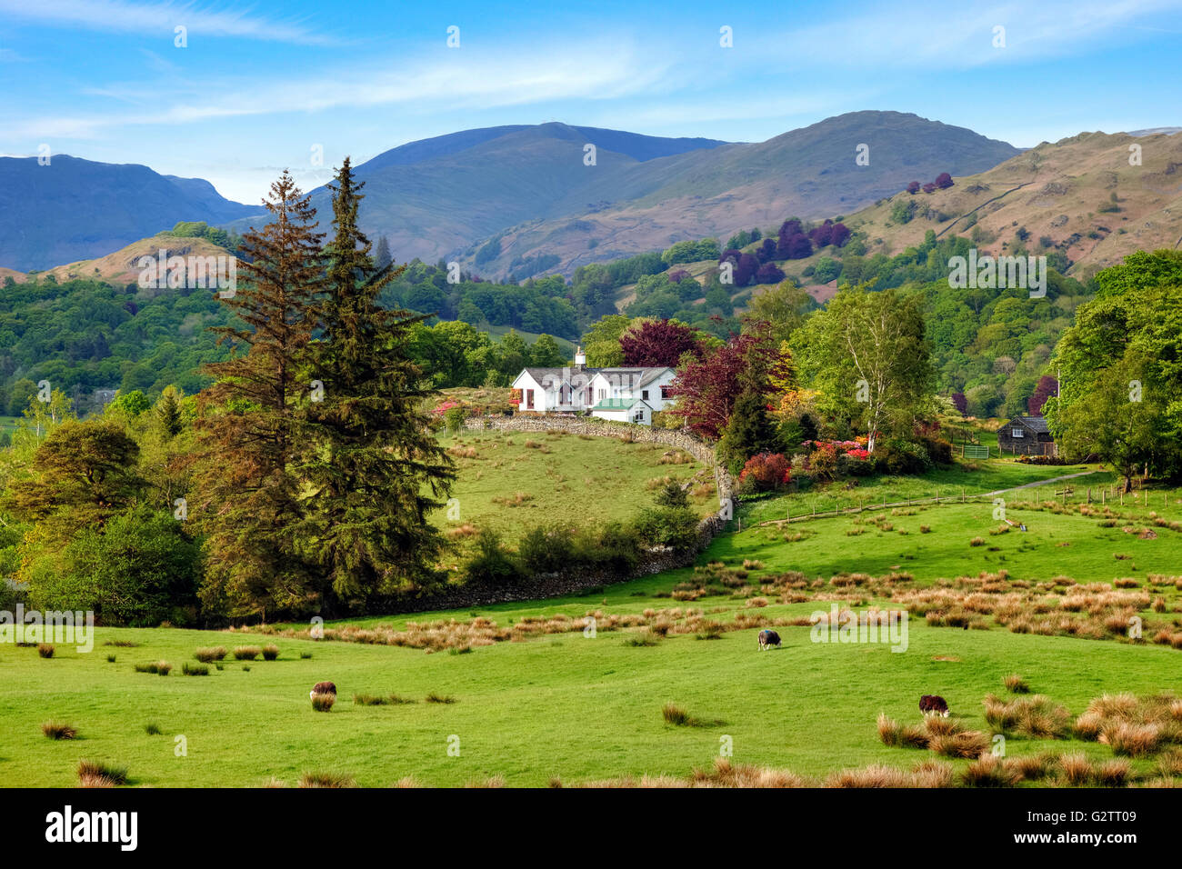 Little Langdale, Lake District, Cumbria, England, UK Stock Photo