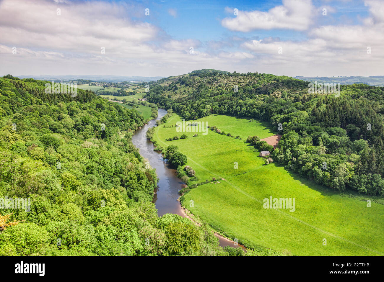 The Wye Valley from Symonds Yat Rock, Gloucestershire, England, UK, in early summer Stock Photo