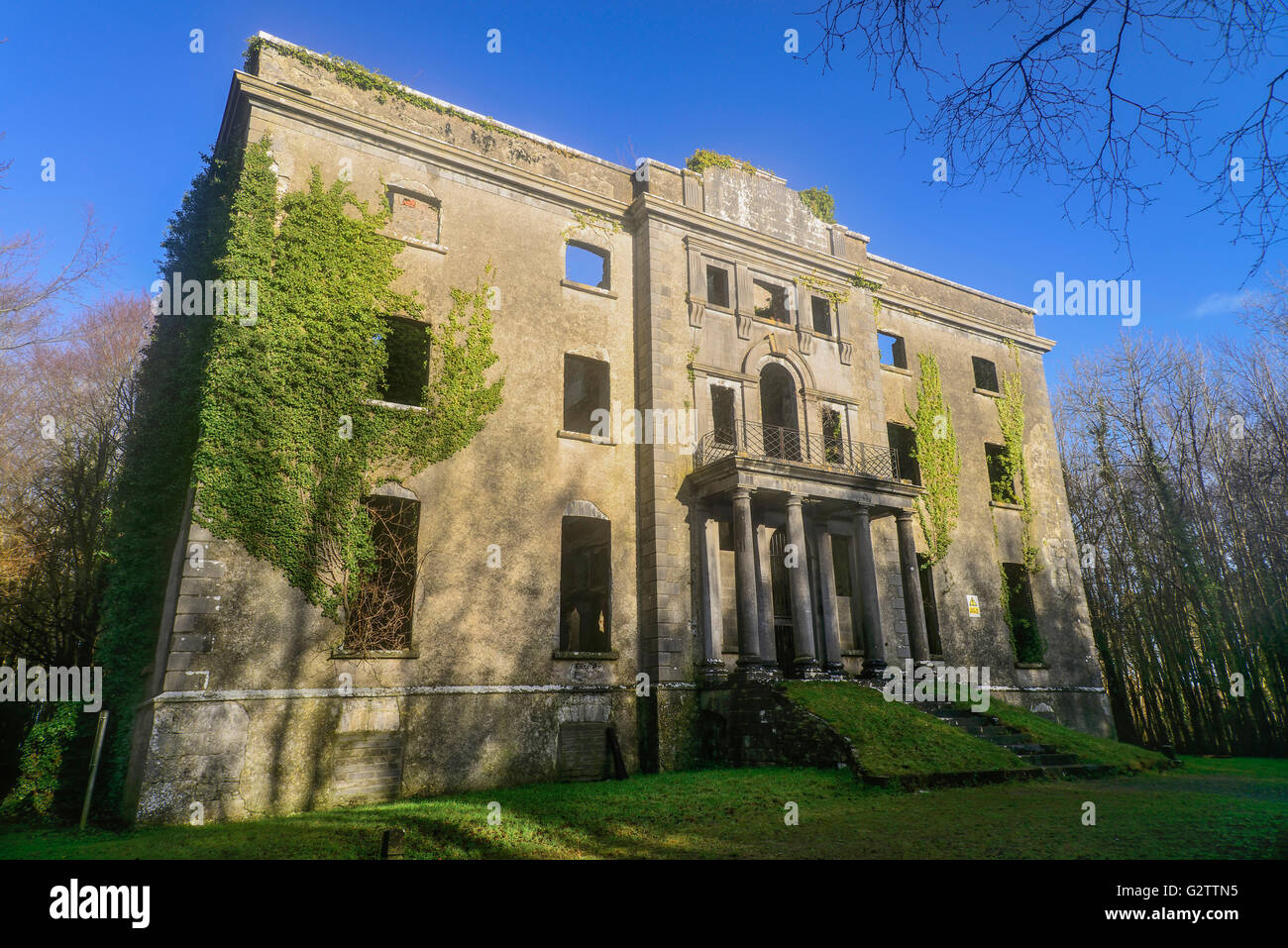 Ireland, County Mayo, Ruins of Moore Hall. Stock Photo