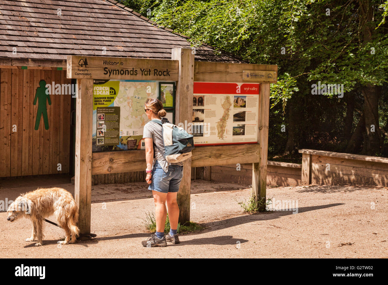 Woman in hiking gear looking at map on noticeboard at Symonds Yat Rock, Gloucestershire, England, UK Stock Photo