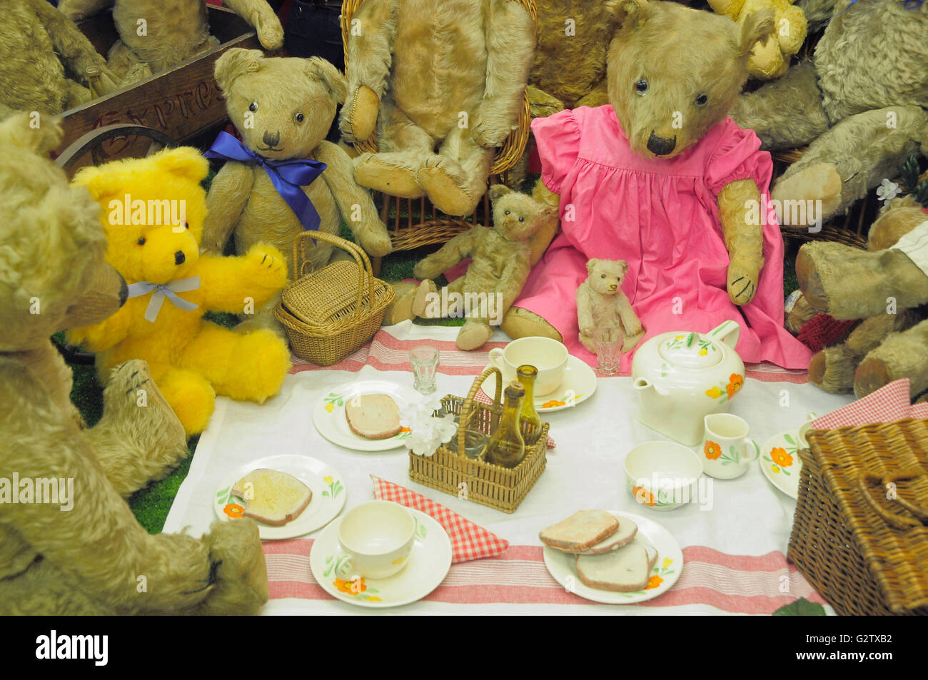 Scotland, Edinburgh, Museum of Childhood, Teddy Bear picnic. Stock Photo