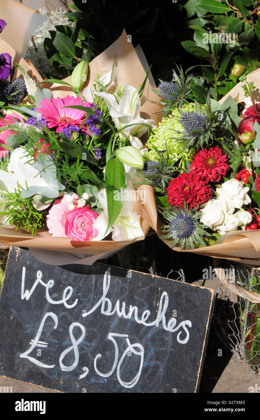Scotland, Edinburgh, Broughton Street, wee bunch of flowers from