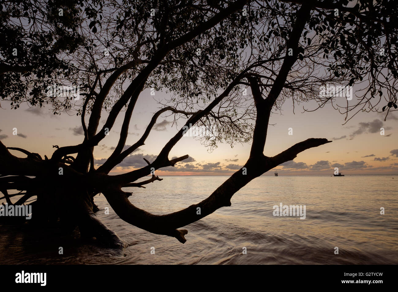 Amity Point Jetty High Resolution Stock Photography and Images - Alamy
