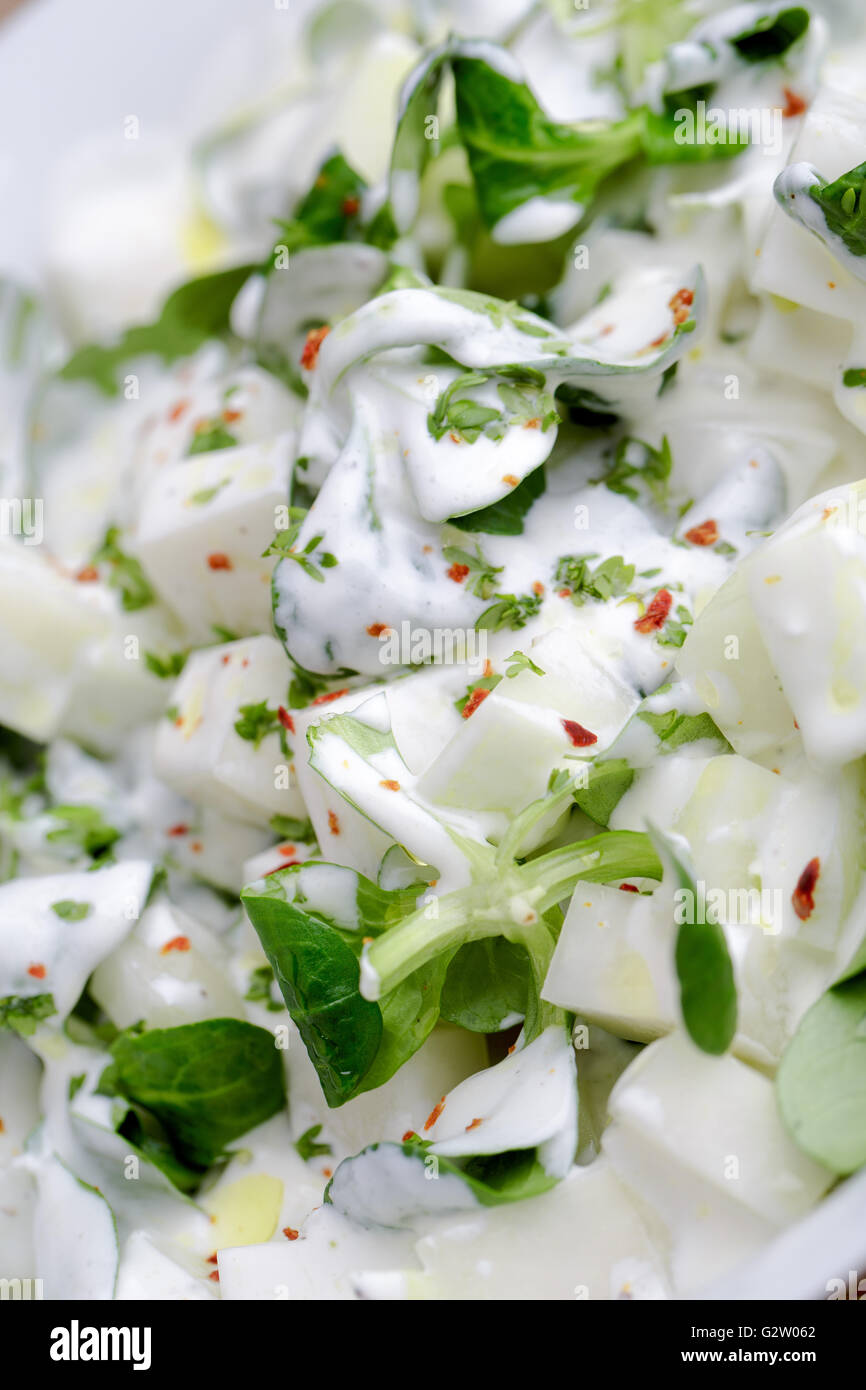 Fresh Salad of raw Kohlrabi with Yoghurt Stock Photo