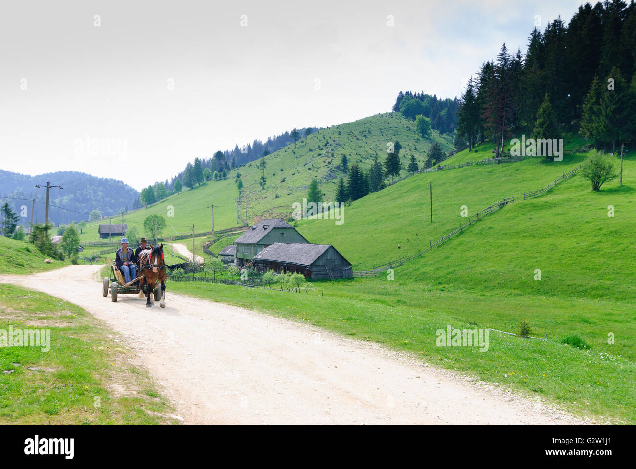 Village in Subcarpathian, Romania, Transilvania, Transylvania, Siebenbürgen (Transsilvanien) , Fundata (Fundatten) Stock Photo