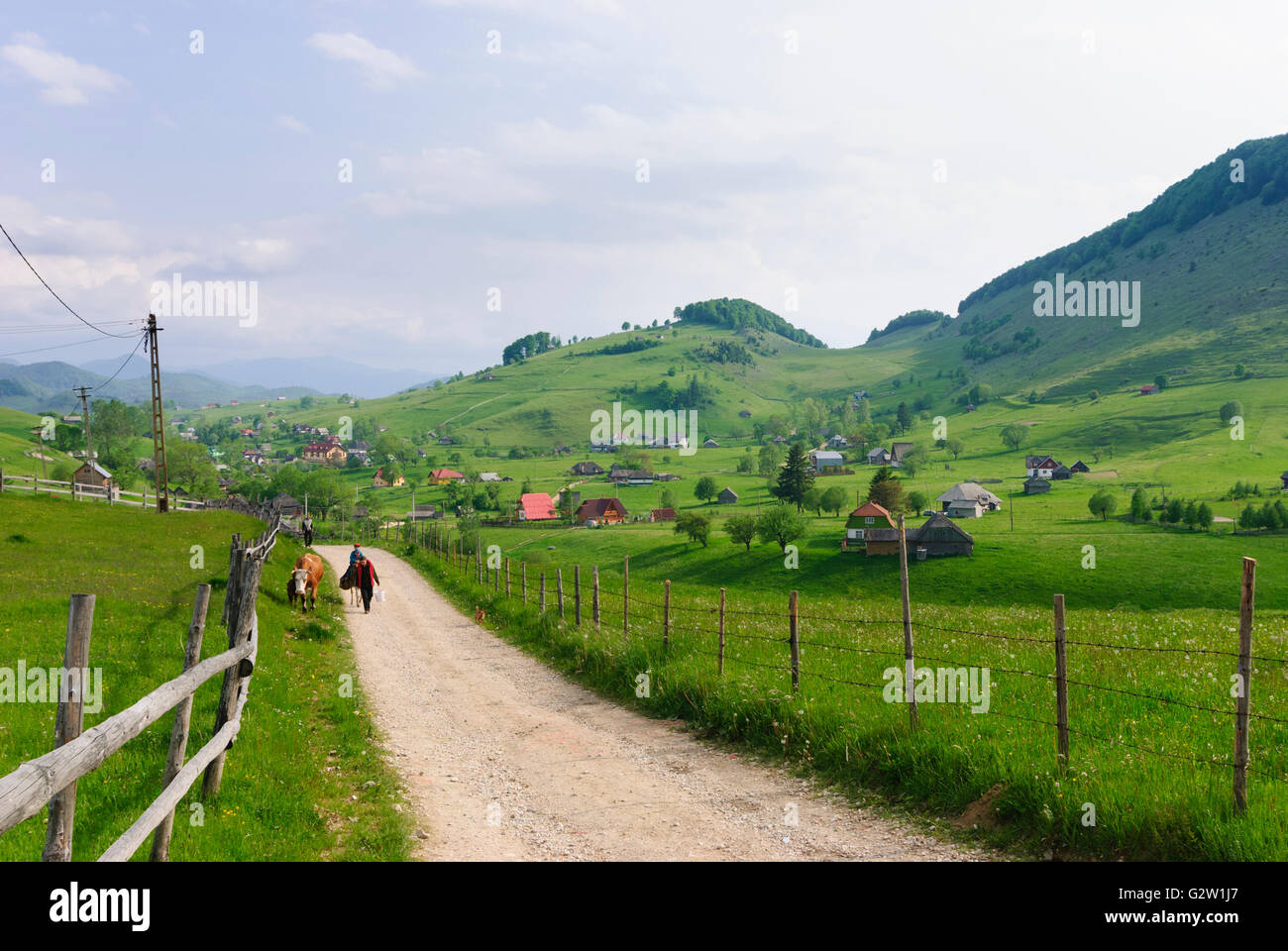 Village in Subcarpathian, Romania, Transilvania, Transylvania, Siebenbürgen (Transsilvanien) , Sirnea (Schirnen) Stock Photo