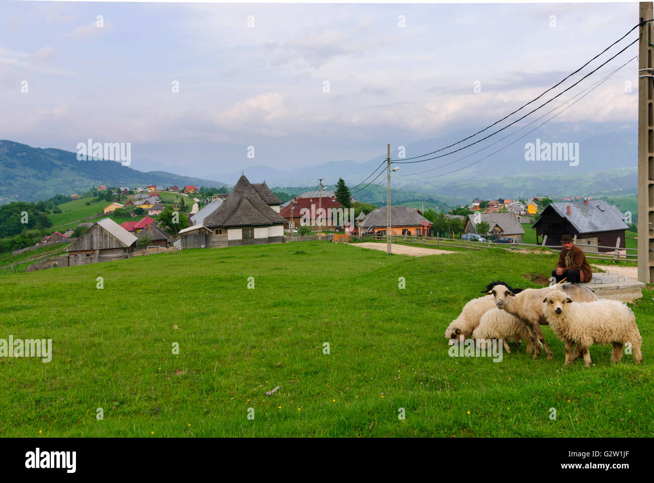 Village in the Carpathian Mountains with sheep and shepherd, Romania ...