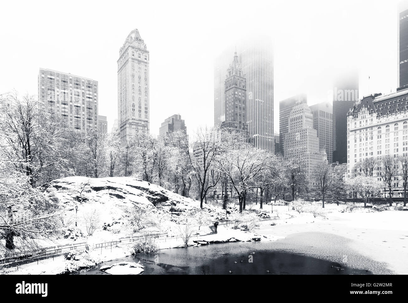 The Pond in Central Park on a foggy winter morning Stock Photo