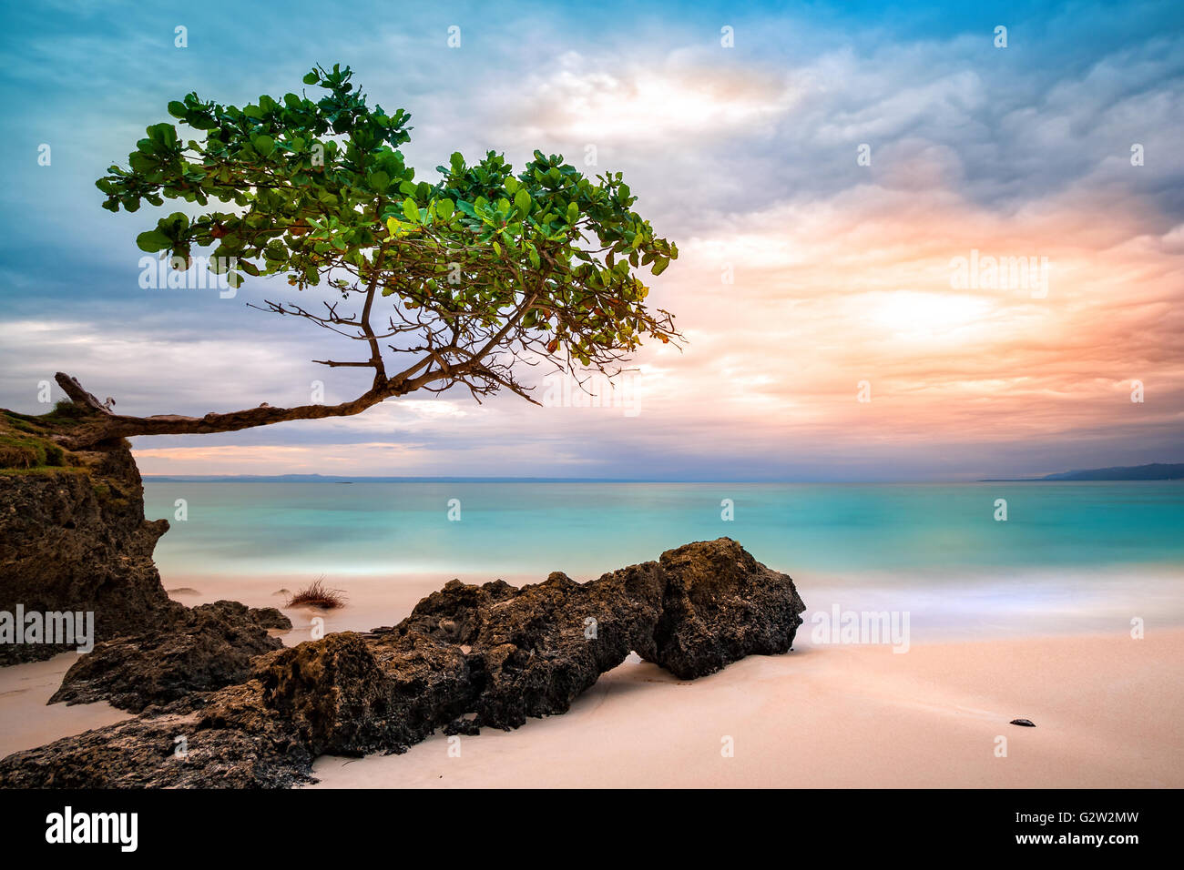 Exotic seascape with sea grape tree Stock Photo