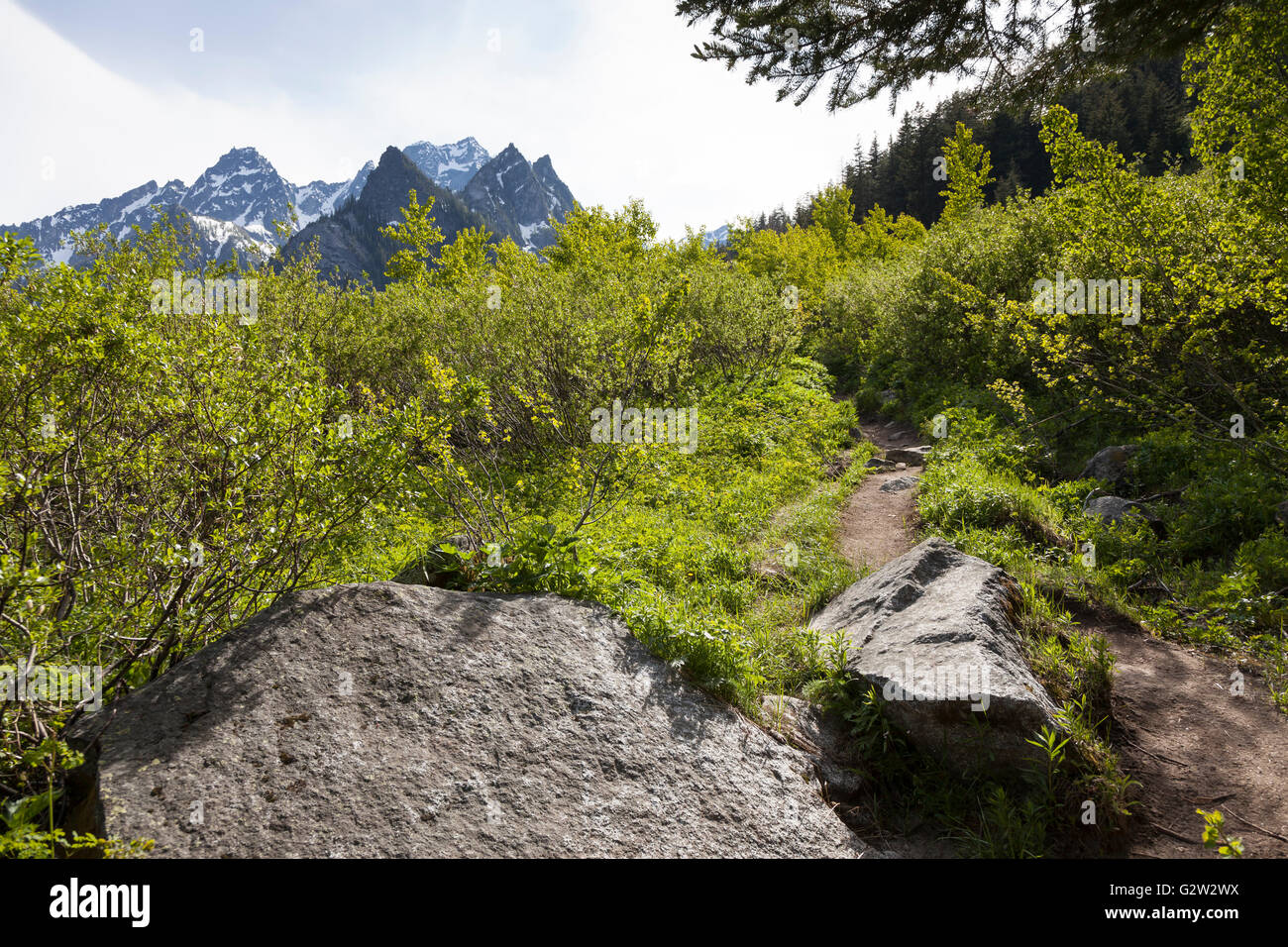 Alpine Lakes Wilderness, Washington: Stuart Lake Trail with the Stuart Range peaks. Stock Photo