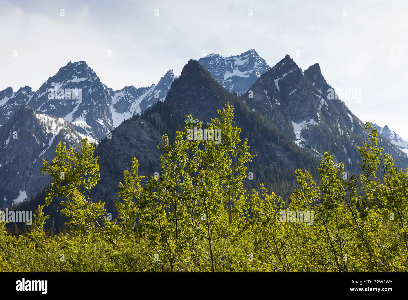 Alpine Lakes Wilderness, Washington: Stuart Range peaks from Stuart Lake Trail. On the left is Sherpa Peak. Stock Photo