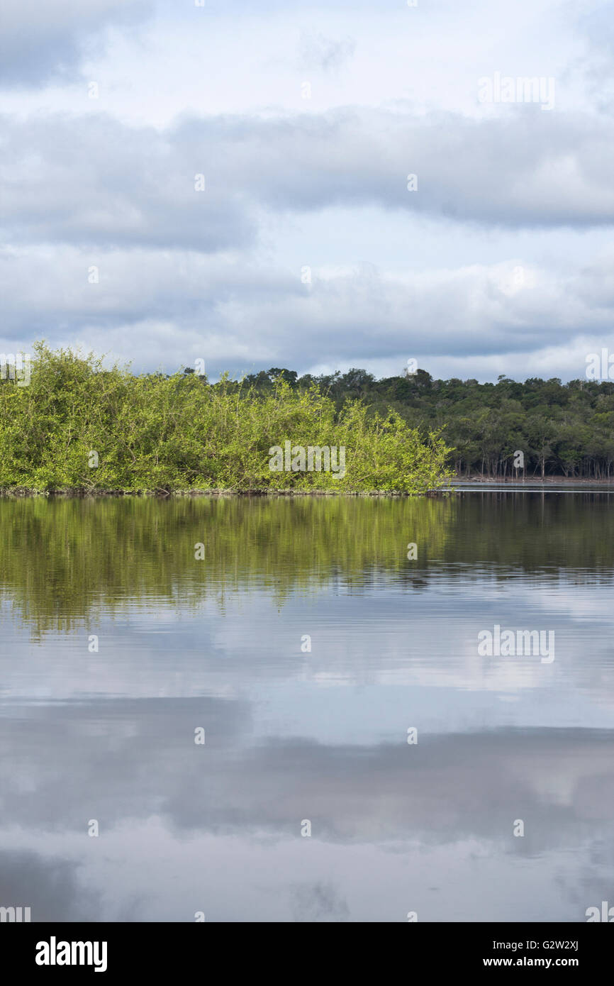Amazon rainforest local hi-res stock photography and images - Page 4 - Alamy