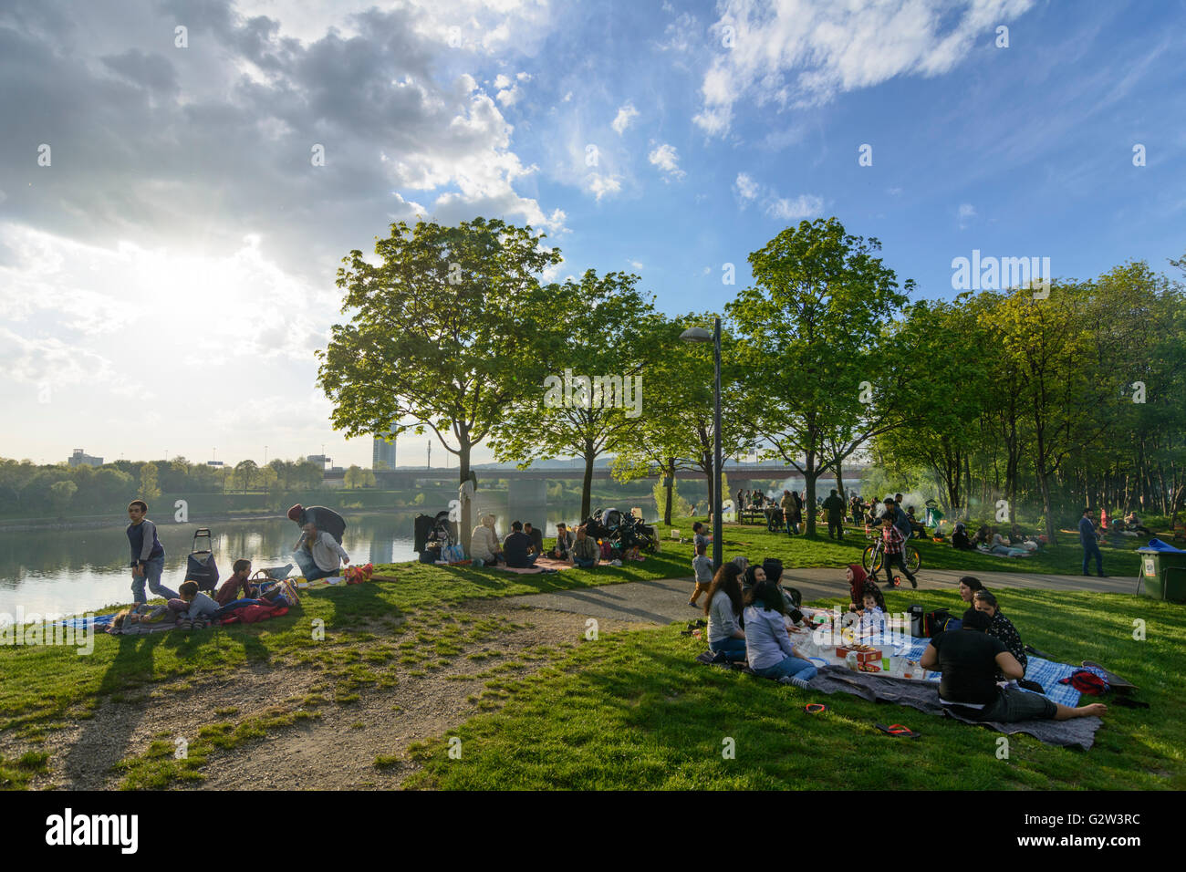 families barbecuing at the Brigittenauer Bay Neue Donau before Donauturm , Danube City and DC Tower 1, Vienna Stock Photo
