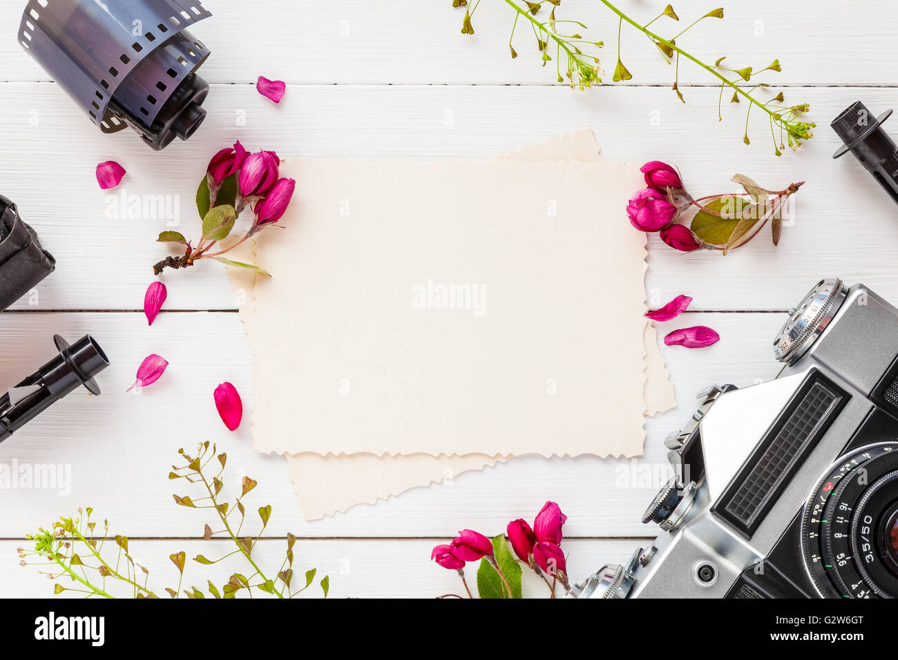 Empty photo frame for the inside, retro camera, photo film rolls and apple flowers on white background. Flat lay, top view. Stock Photo