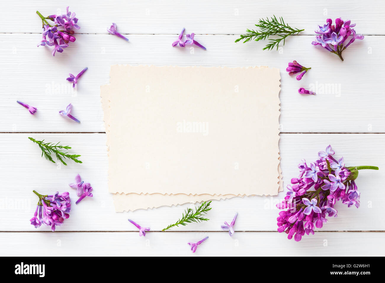 Old empty photo for the inside and frame of fresh lilac flowers on white wooden background. Flat lay, top view. Stock Photo