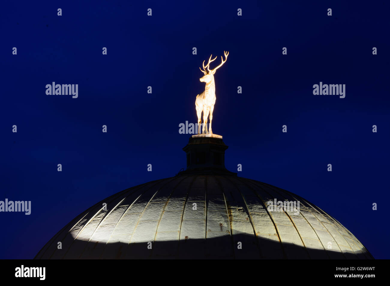 Dome with golden deer in the Art Building, Germany, Baden-Württemberg Region Stuttgart, Stuttgart Stock Photo