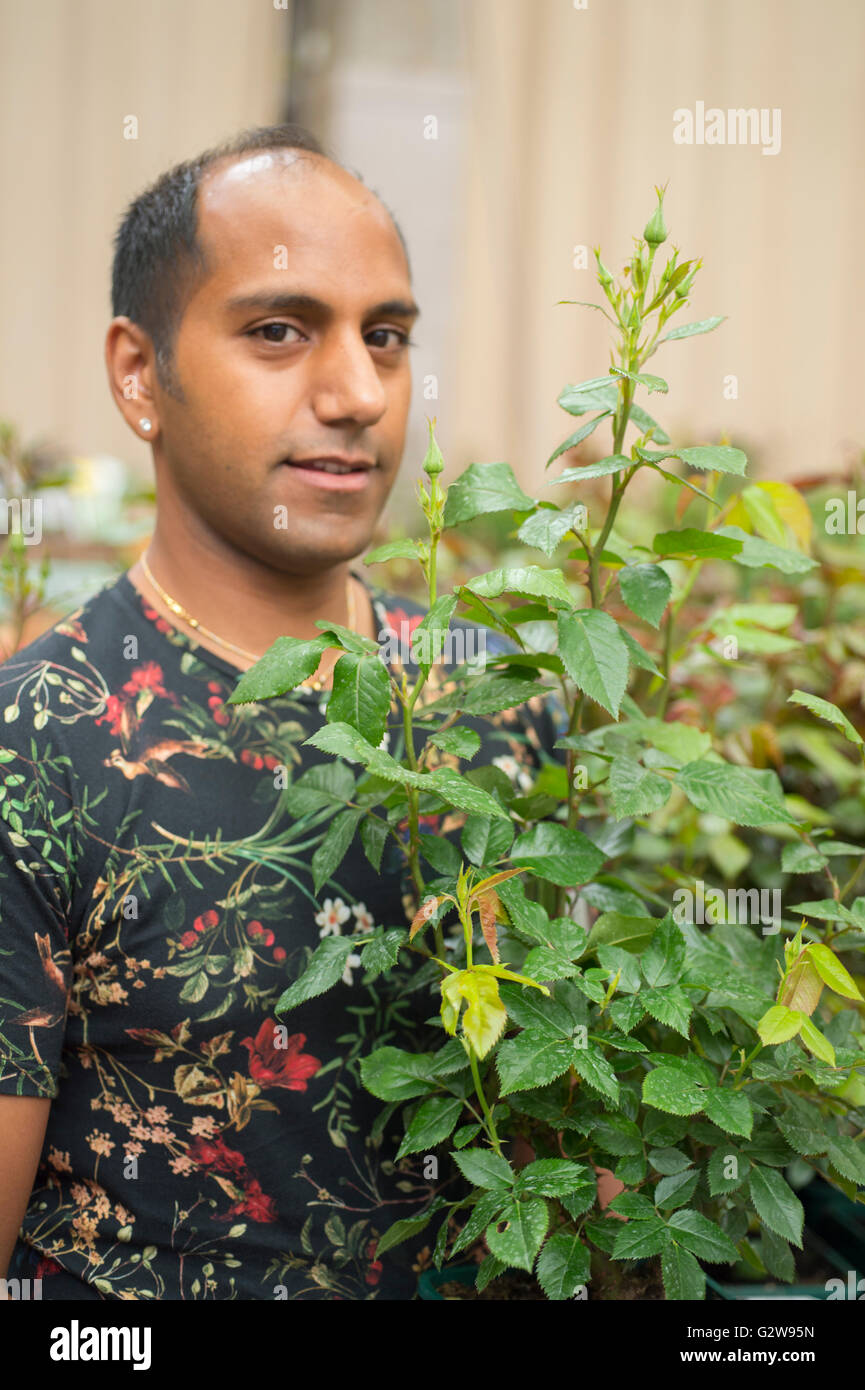 Fryers roses nursery stand hires stock photography and images Alamy