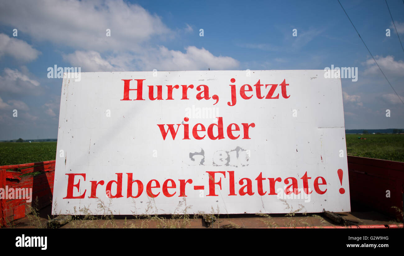 Gleidingen, Germany. 03rd June, 2016. A information board reads 'Hurray