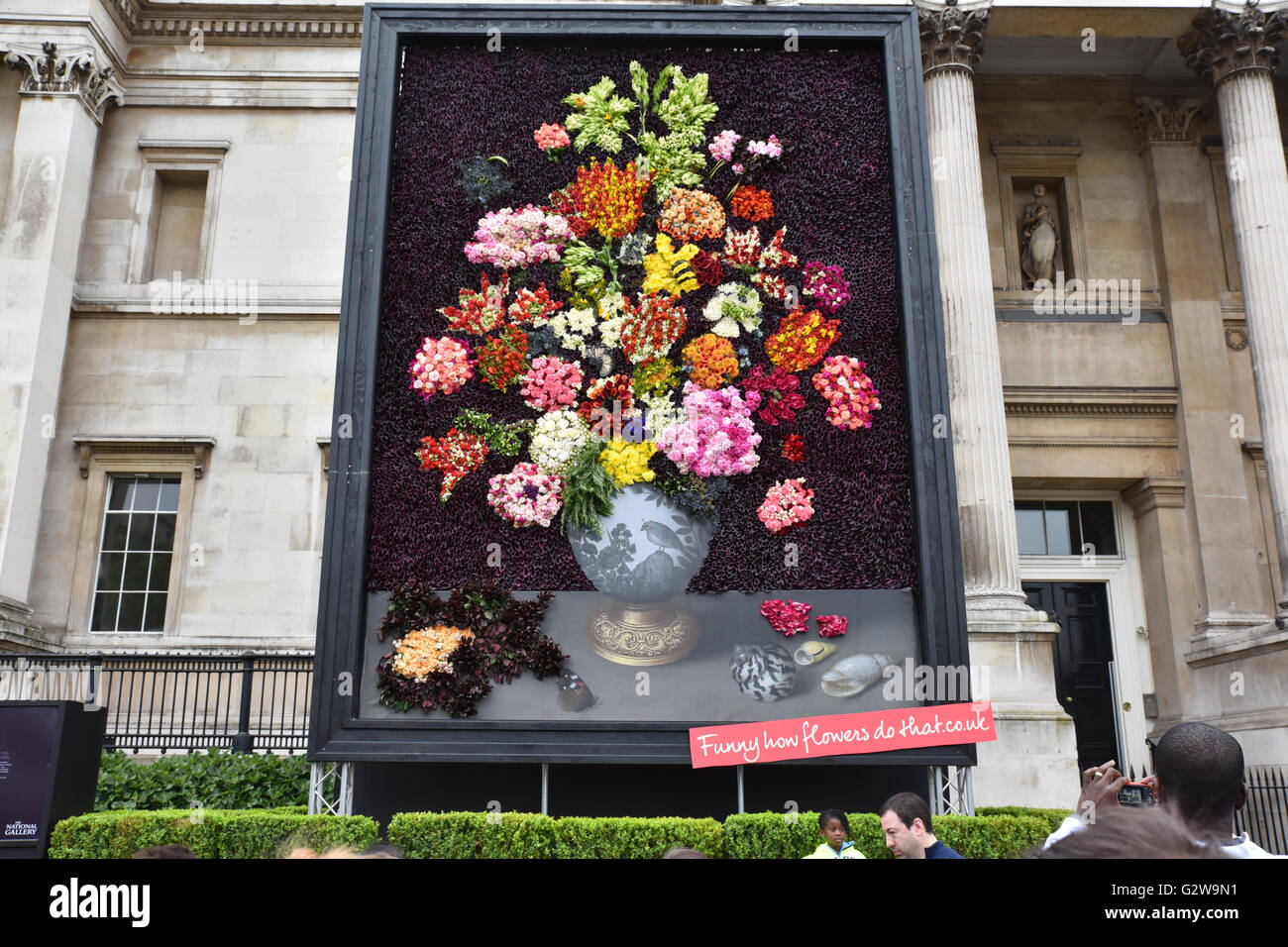 Trafalgar Square, London, UK. 3rd June 2016. Giant recreation of Dutch flower painting: A Still Life of flowers in a Wan-Li Vase Stock Photo