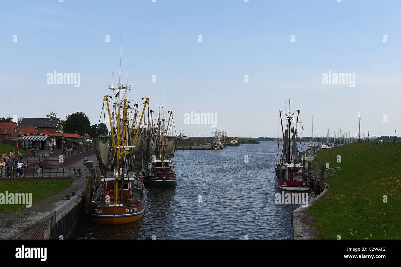Greetsiel, Germany. 3rd June, 2016. Shrimp cutters in Greetsiel, Germany, 3 June 2016. PHOTO: CARMEN JASPERSEN/dpa/Alamy Live News Stock Photo