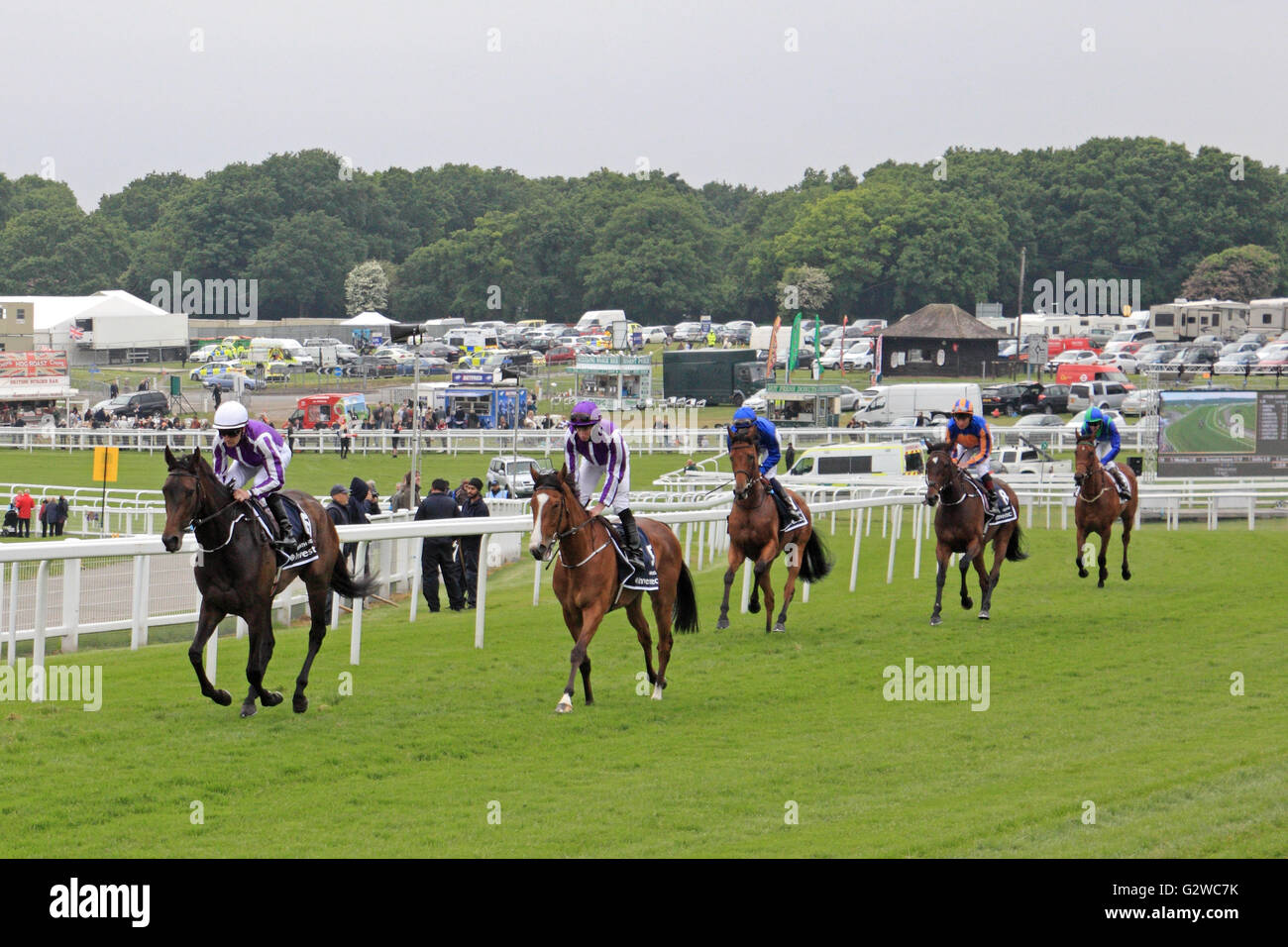 Epsom Downs, Surrey, England, UK. 3rd June 2016. Ladies Day at Epsom Downs race course, where the Investec Oaks is the main race of the day. Here Ryan Moore in purple and white (purple hat) rides No. 5 Minding around Tattenham Corner towards the start of the race. Minding winning the race after beating Frankie Dettori on Architecture in the home straight. Credit:  Julia Gavin UK/Alamy Live News Stock Photo