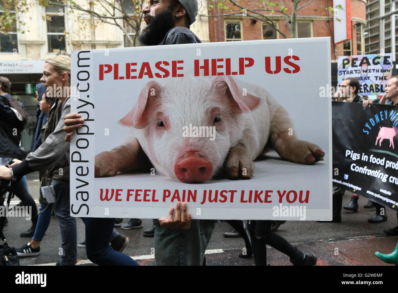 Slaughter House Protest Stock Photos & Slaughter House Protest Stock