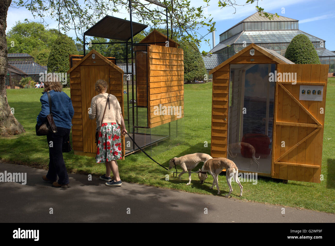 Glasgow, Scotland, UK 3rd June 2016. Men and Sheds, 'The Ideal Hut Show' a series of designer sheds opened in Glasgow's Botanic Gardens today. An esoteric collection includes 18 garden sheds, transformed by top architects and designers from across the UK. Credit:  Gerard Ferry/Alamy Live News Stock Photo