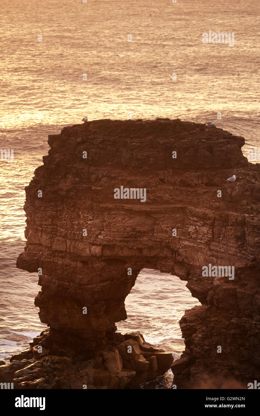 Marsden bay / The Leas, South Shields Stock Photo - Alamy