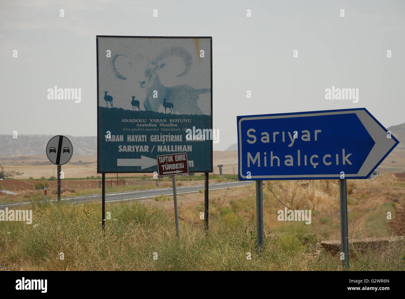 Signboard of Anatolian Mouflon protection area at the roadside of Ankara-Nallihan route Stock Photo