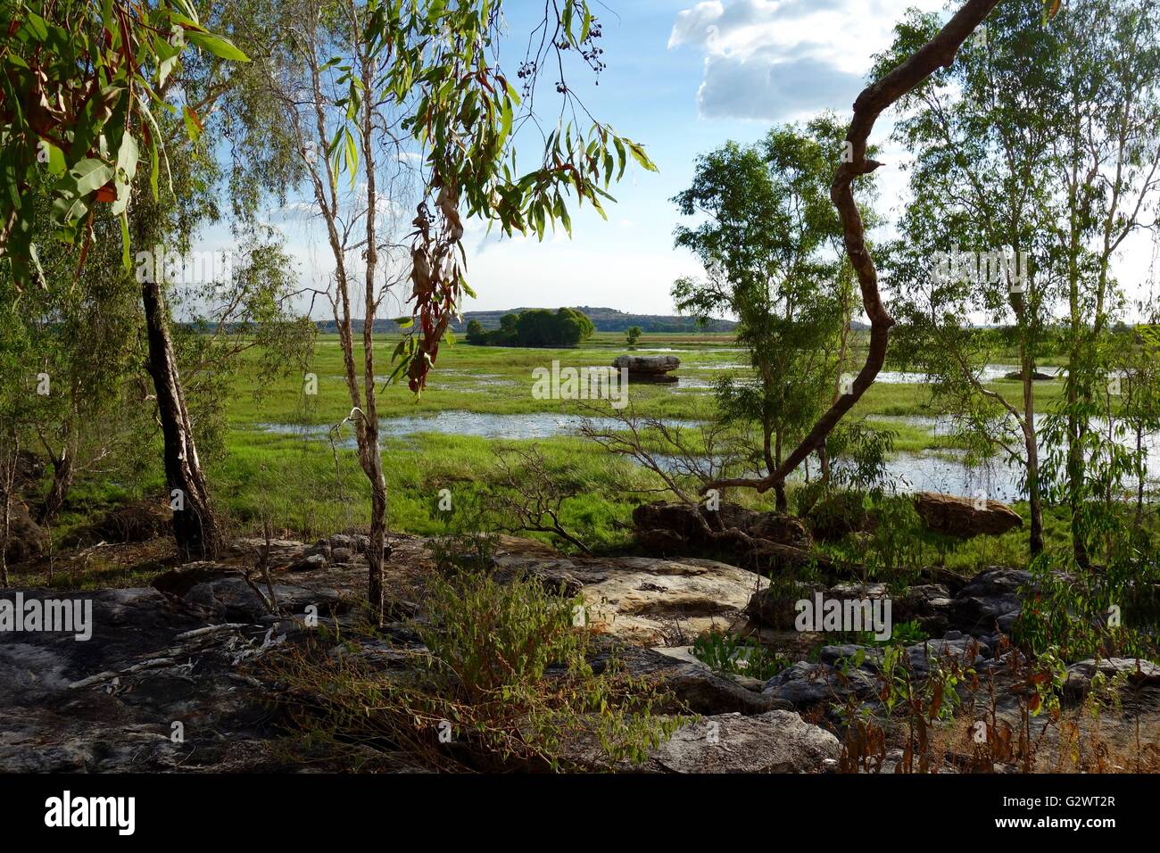 View of the wetlands and floodplains at Mount Borradaile, near Cooper Creek, West Arnhem Land, Northern Territory, Australia Stock Photo