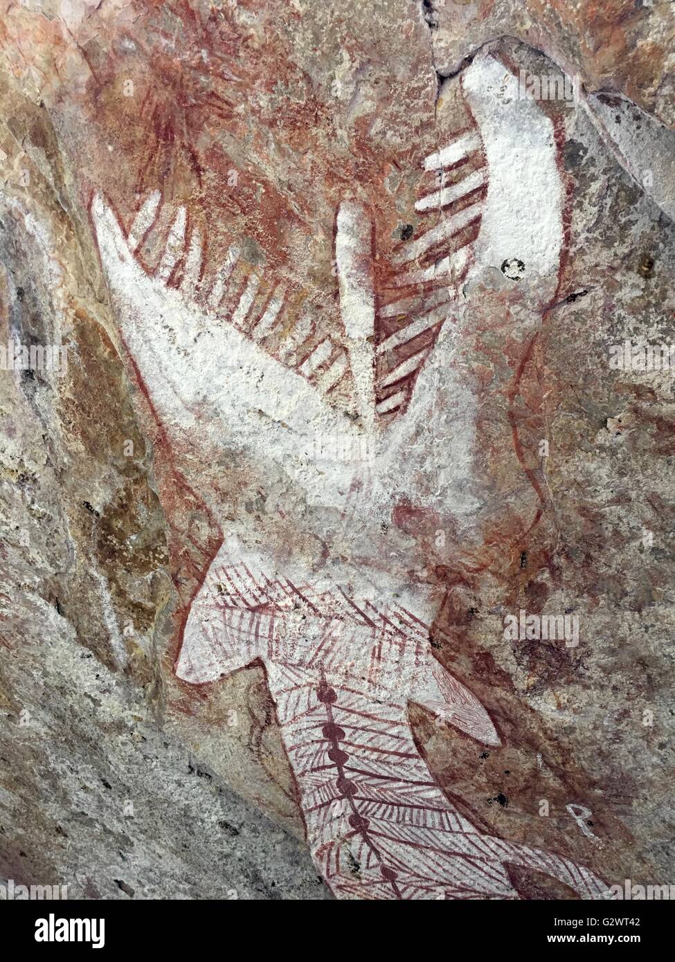 Ancient Aboriginal cave paintings known as 'rock art' found at Mount Borradaile, West Arnhem Land, Northern Territory, Australia Stock Photo