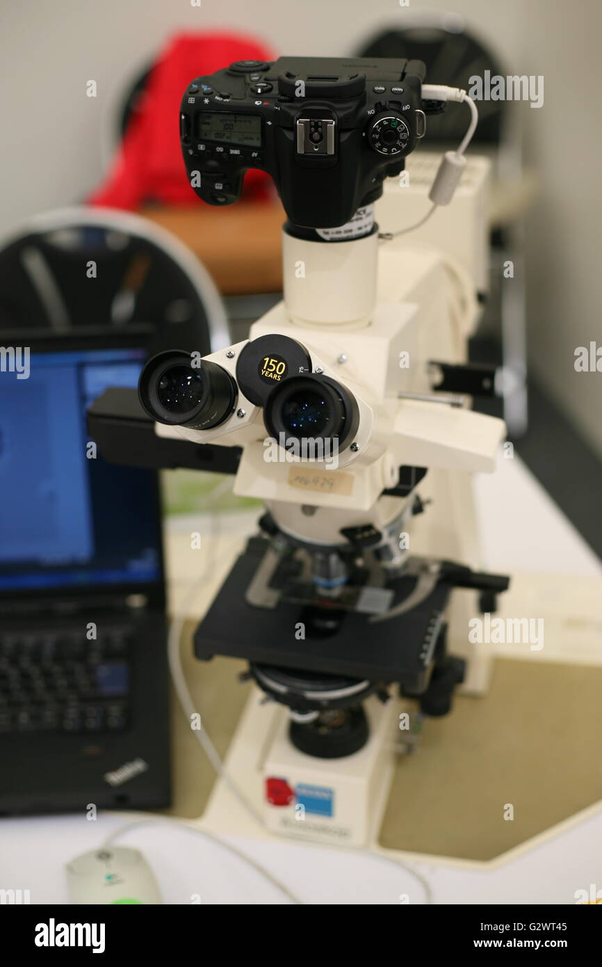 microscope for scientific work, Bonn, Germany Stock Photo