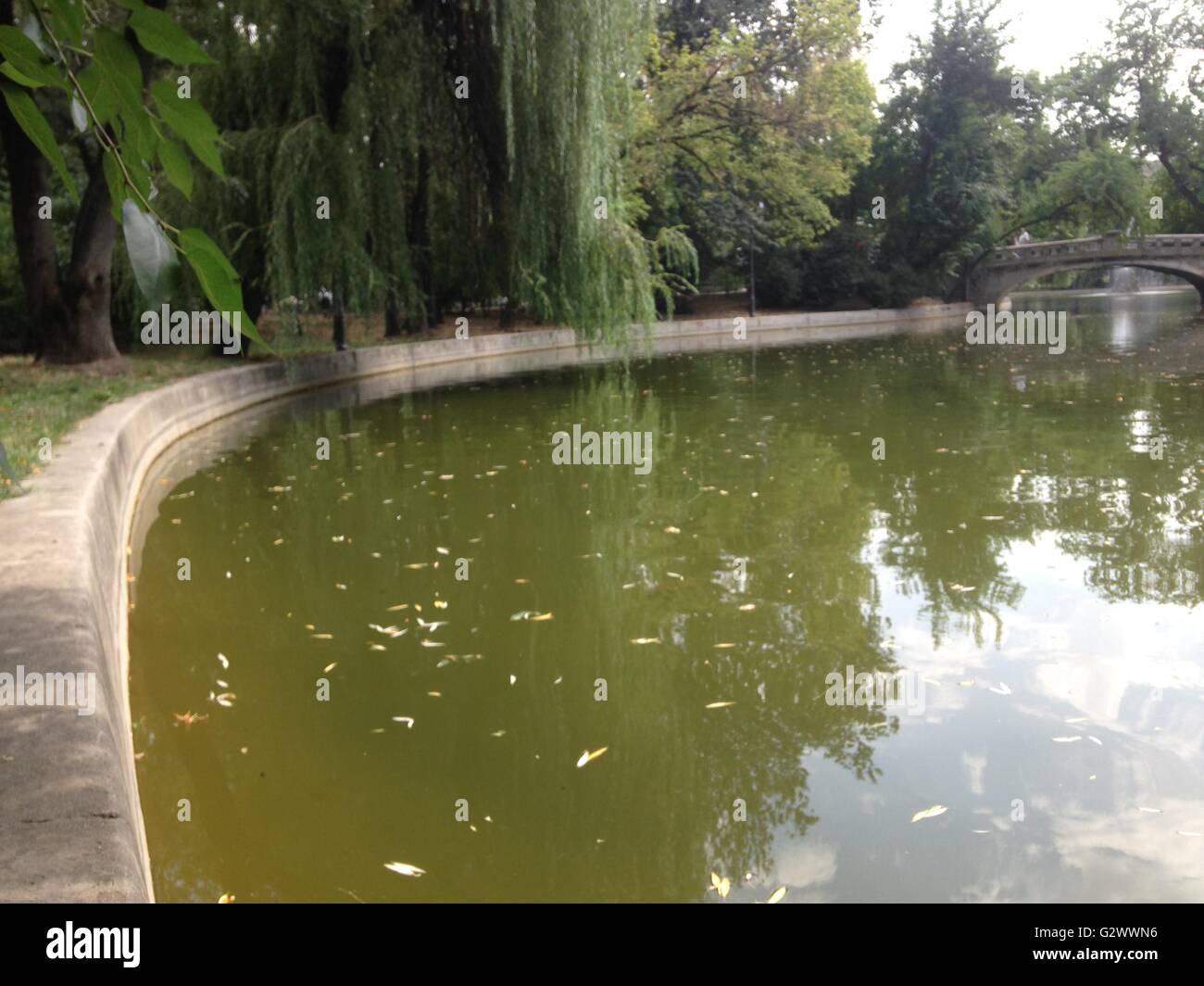 Beautiful lake view in hi-res stock photography and images - Alamy