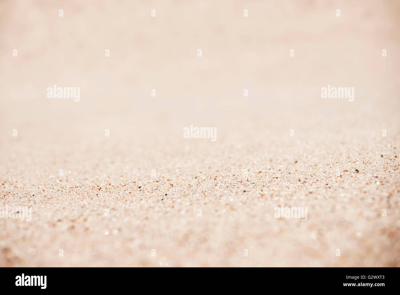 Sand on the beach Stock Photo Alamy