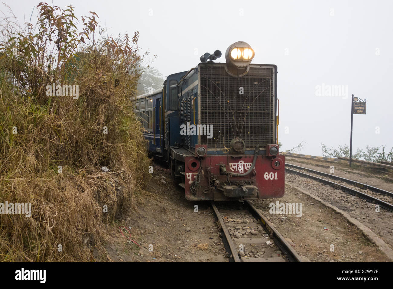 NDM6 Diesel Locomotive hauled Darjeeling Himalayan Railway Toy Train waiting for crossing at Rongbull Siding. Stock Photo