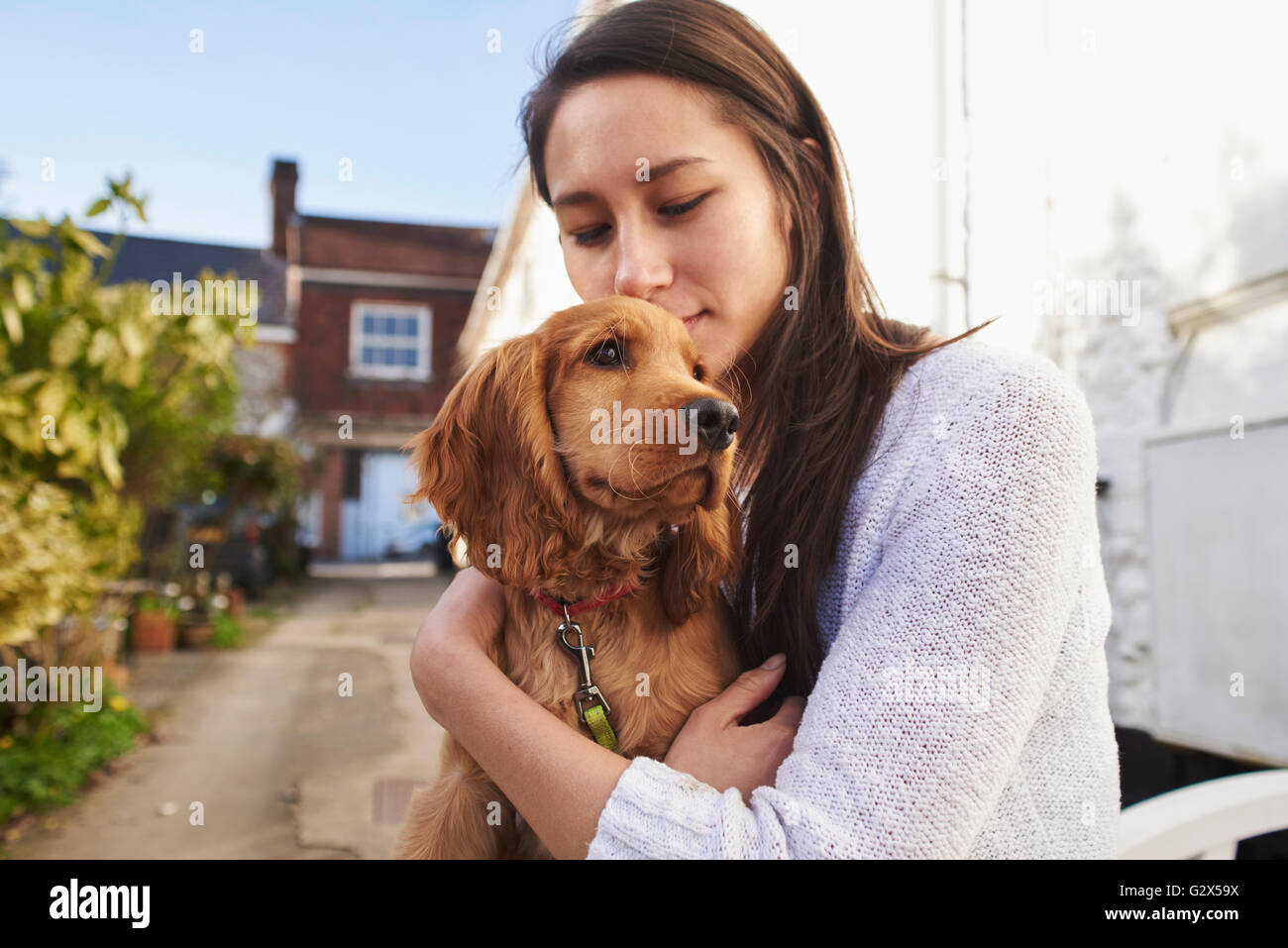 Cocker Spaniel Owner Cuddling Dog After Walk Stock Photo