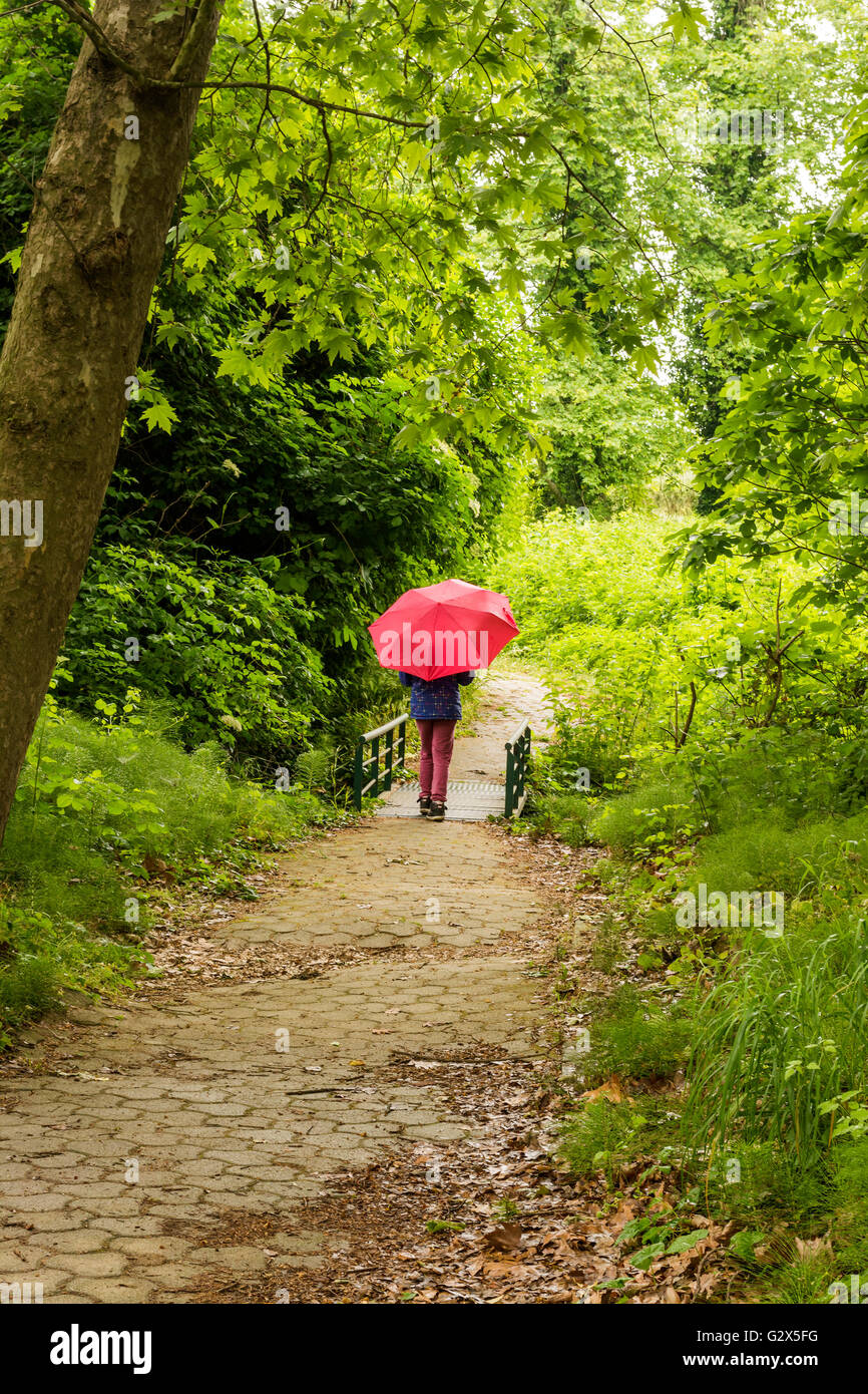 Girl with red umbrella walking away through the forest Stock Photo - Alamy