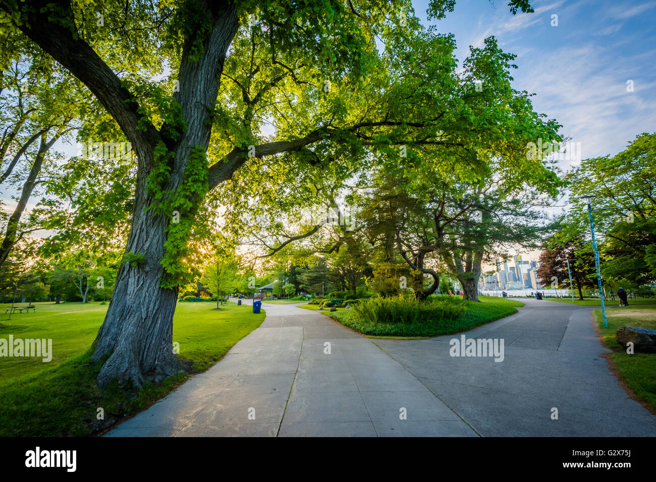 Trees and walkways at Centre Island, in Toronto, Ontario. Stock Photo