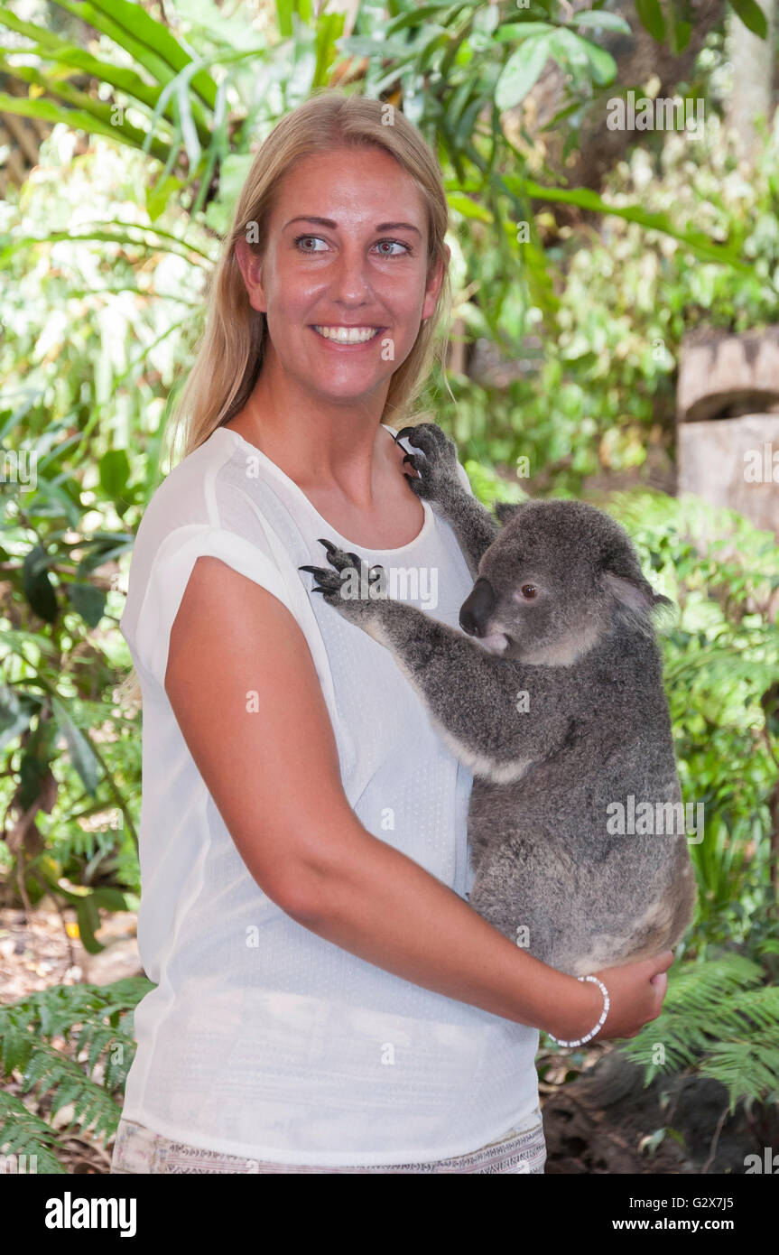 Young woman holding Koala at Lone Pine Koala Sanctuary, Fig Tree Pocket