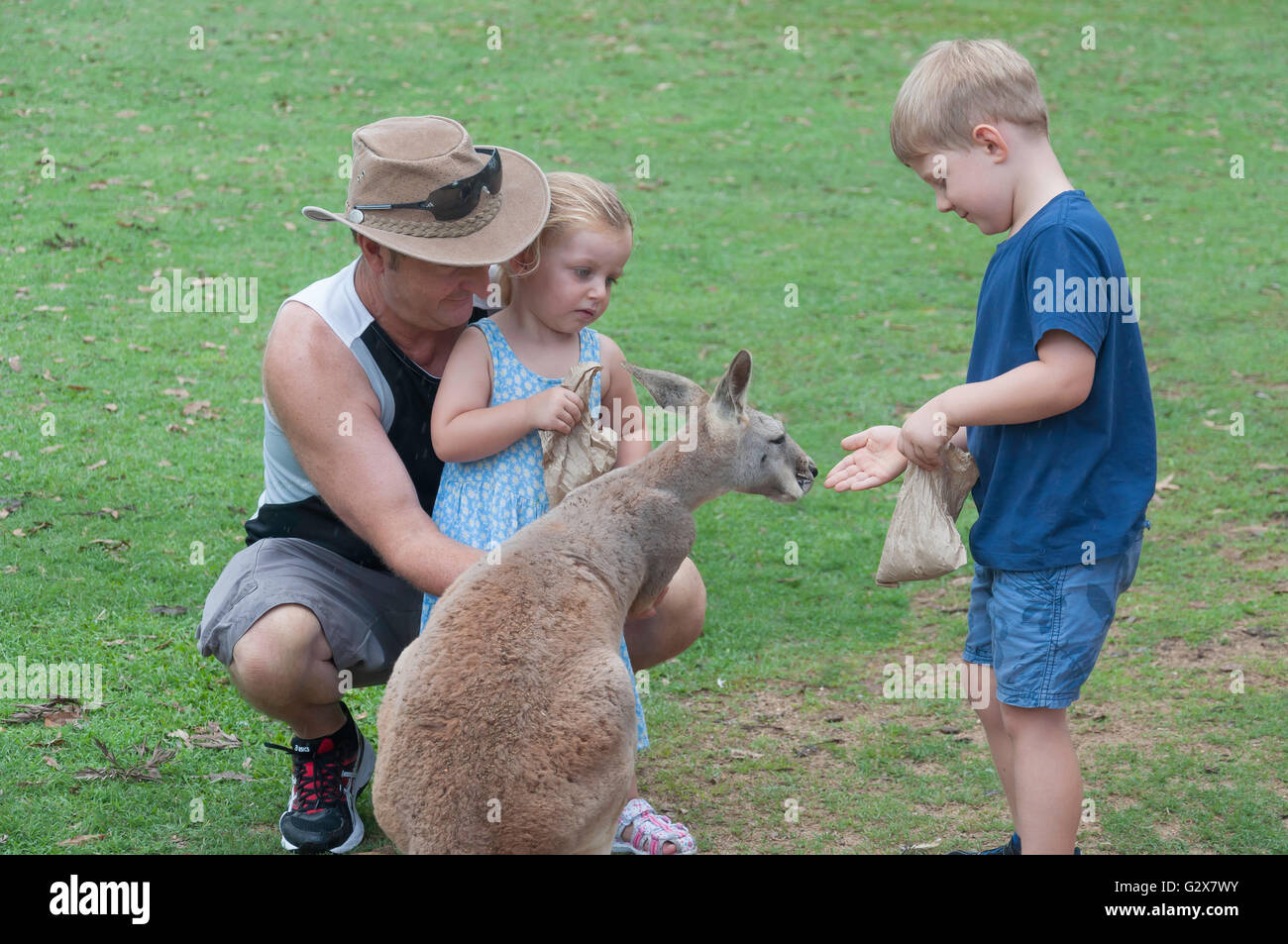 Children feeding Western Grey Kangaroo at Lone Pine Koala Sanctuary, Fig Tree Pocket, Brisbane