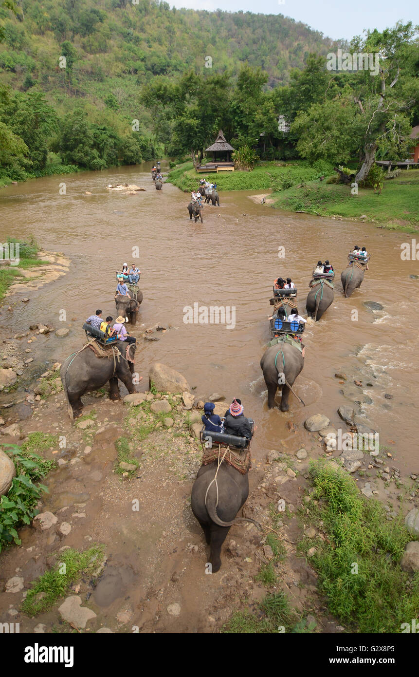 Elephant riding hi-res stock photography and images - Alamy