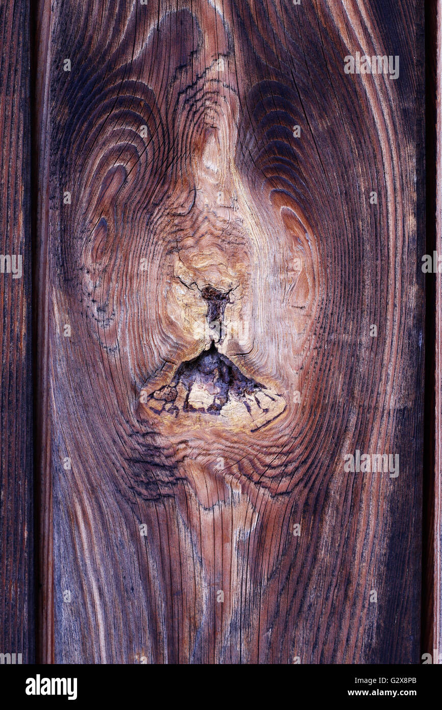 Knot in wood - rough wooden texture Stock Photo
