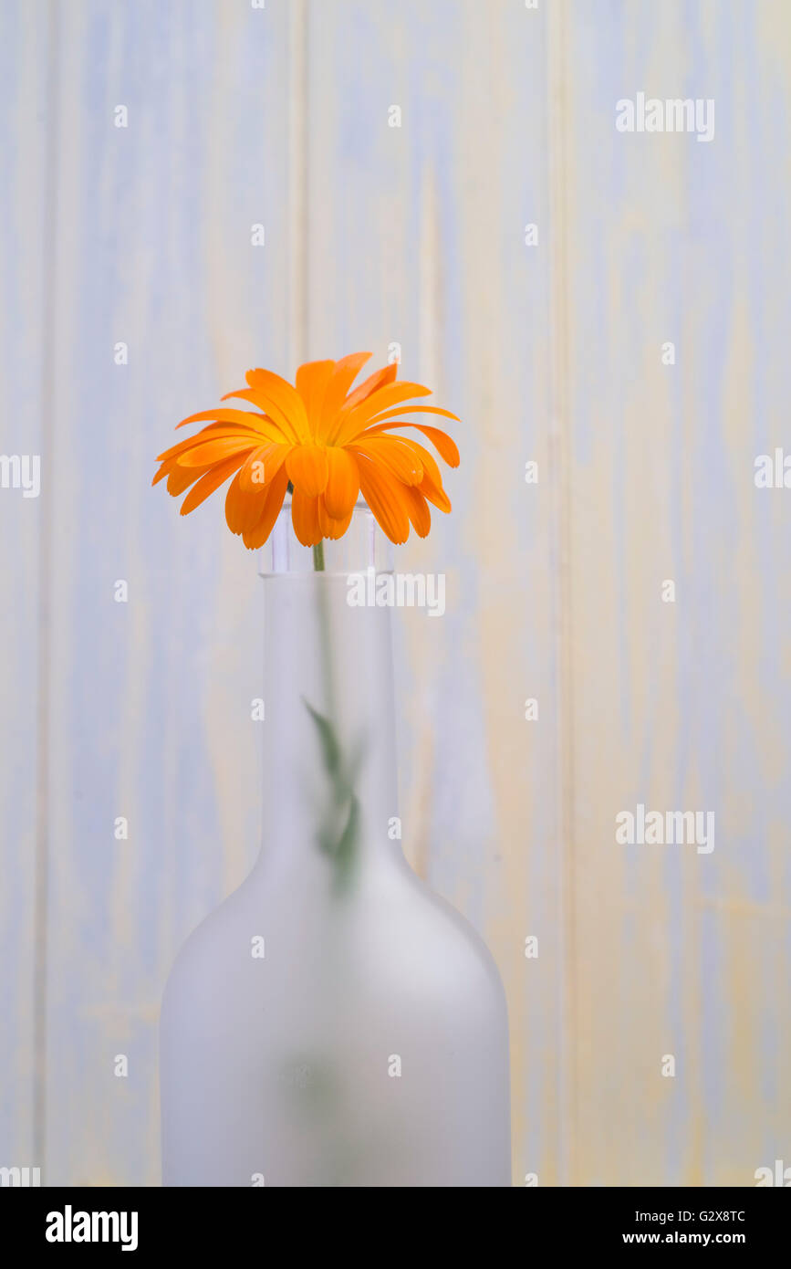 Calendula flower in a glass bottle. Wooden background. Copy space Stock Photo