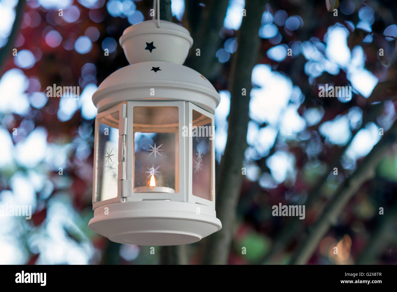 Lantern hanging from tree. Selective focus Stock Photo - Alamy