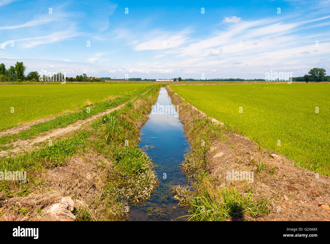 Canal for the irrigation of cultivated fields Stock Photo
