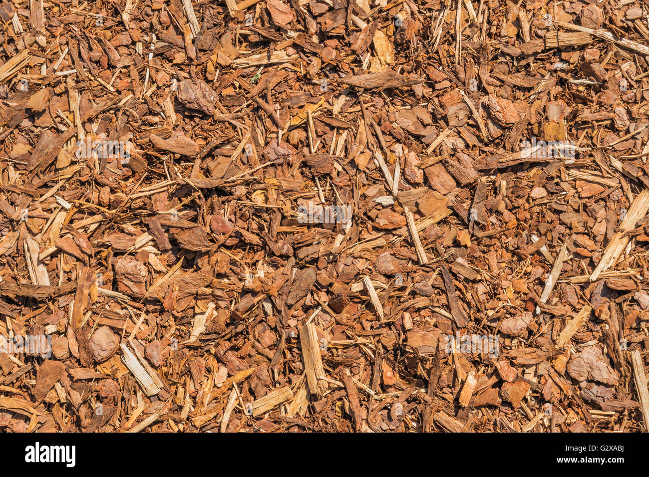 Details of a way with bark mulch Stock Photo