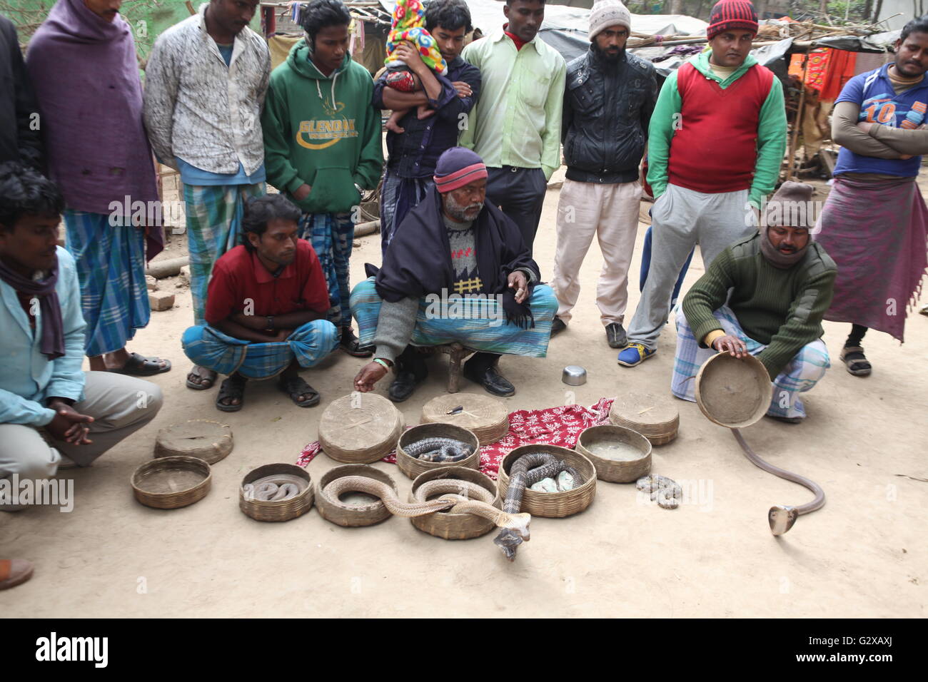 members of snake charmers community at a village in west bengal displaying poisonous snakes Stock Photo