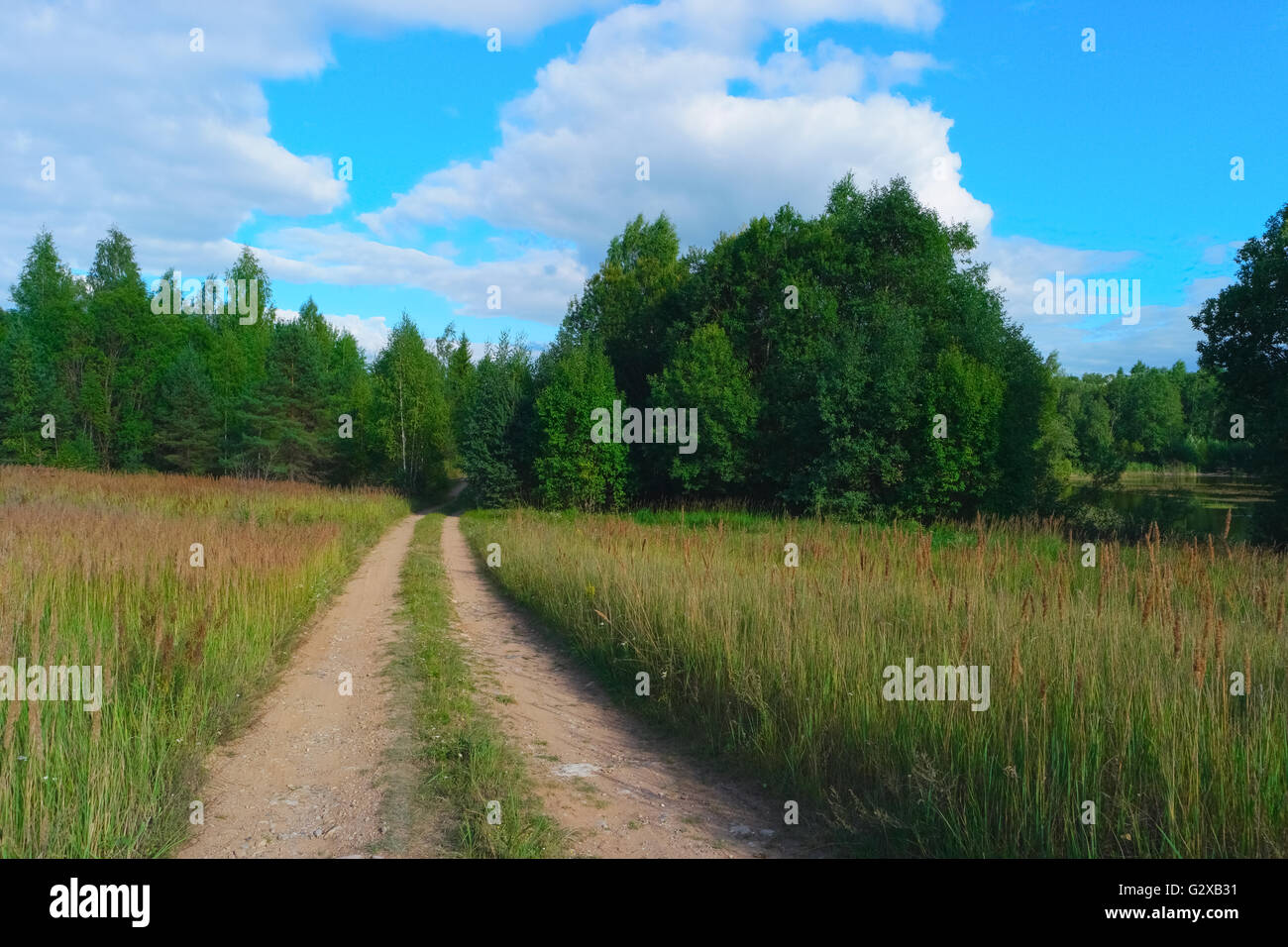 Summer landscape with sky, clouds, trees, grass and road Stock Photo ...