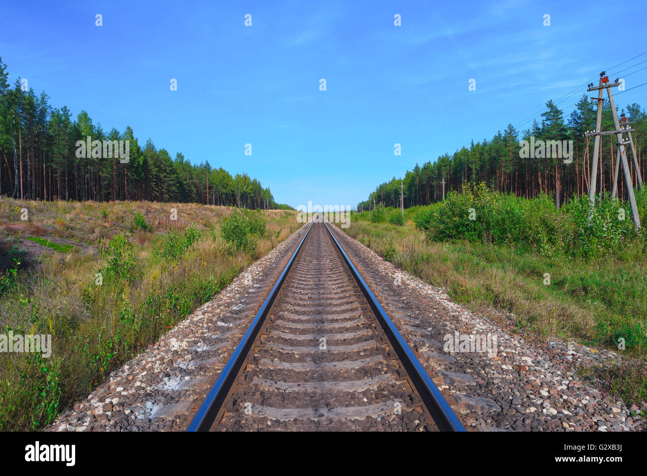 Railroad track with green forest on both sides Stock Photo