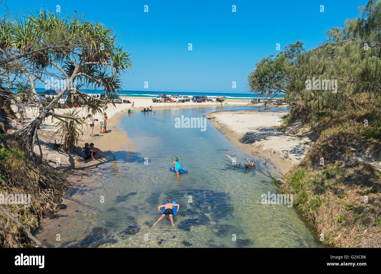 River Eli Creek Great Sandy National Park Fraser Island Queensland Australia Stock Photo Alamy
